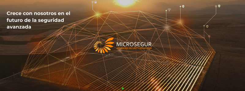 Microsegur  ingenieros/as y técnicos/as 